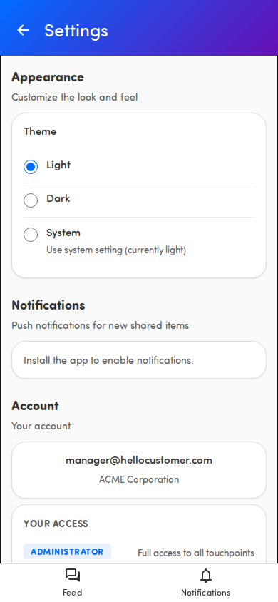 The Appearance section in Settings with the Theme options